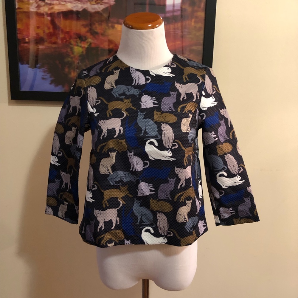 Pleated Cat Shirt